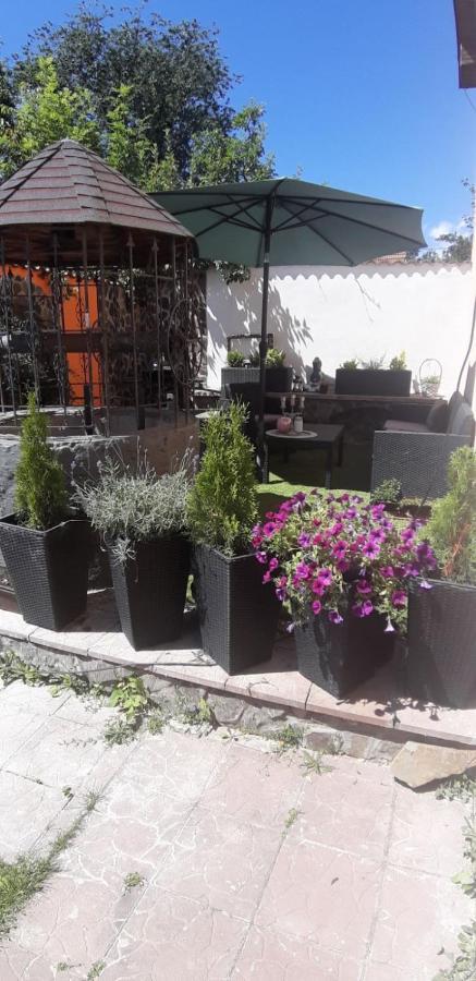 Apartman Anna Apartment Velky Slavkov Exterior photo